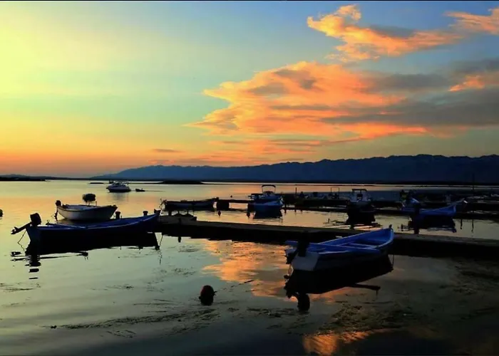 Amalija Ivanac 156 アパート